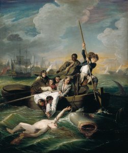 Watson and the Shark, 1782